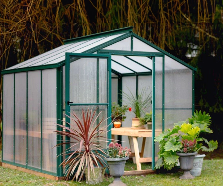 sunhaven-greenhouse-plants cambridge-greenhouse
