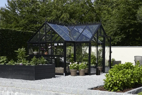 Junior Orangerie - Image 5
