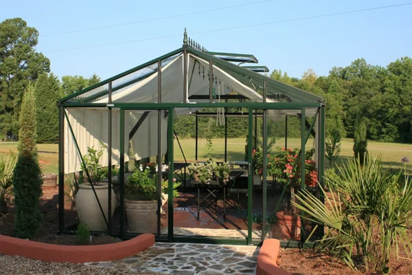 Royal Victorian 46 Hybrid