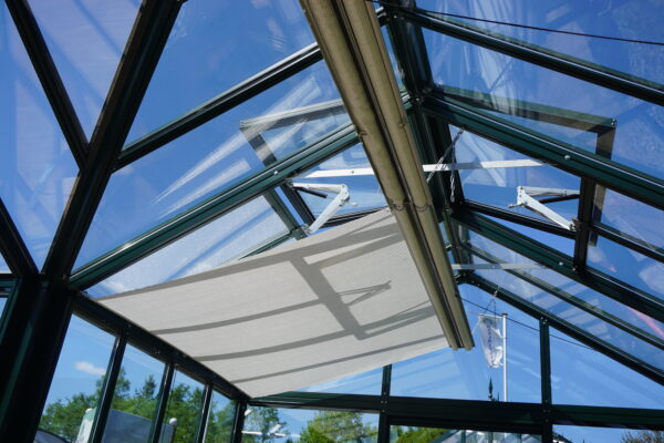 Roller Shades - 59"