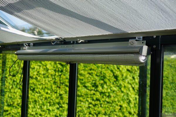 Roller Shades - 59"